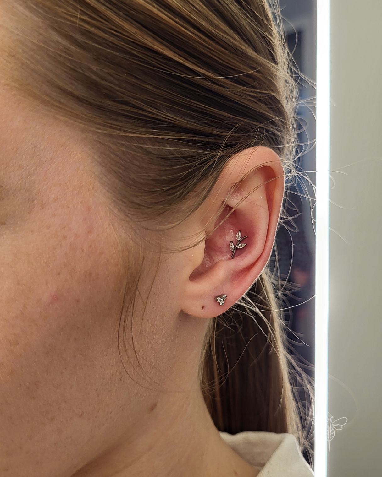 Conch ir upper lobe vėrimai Vilniuje