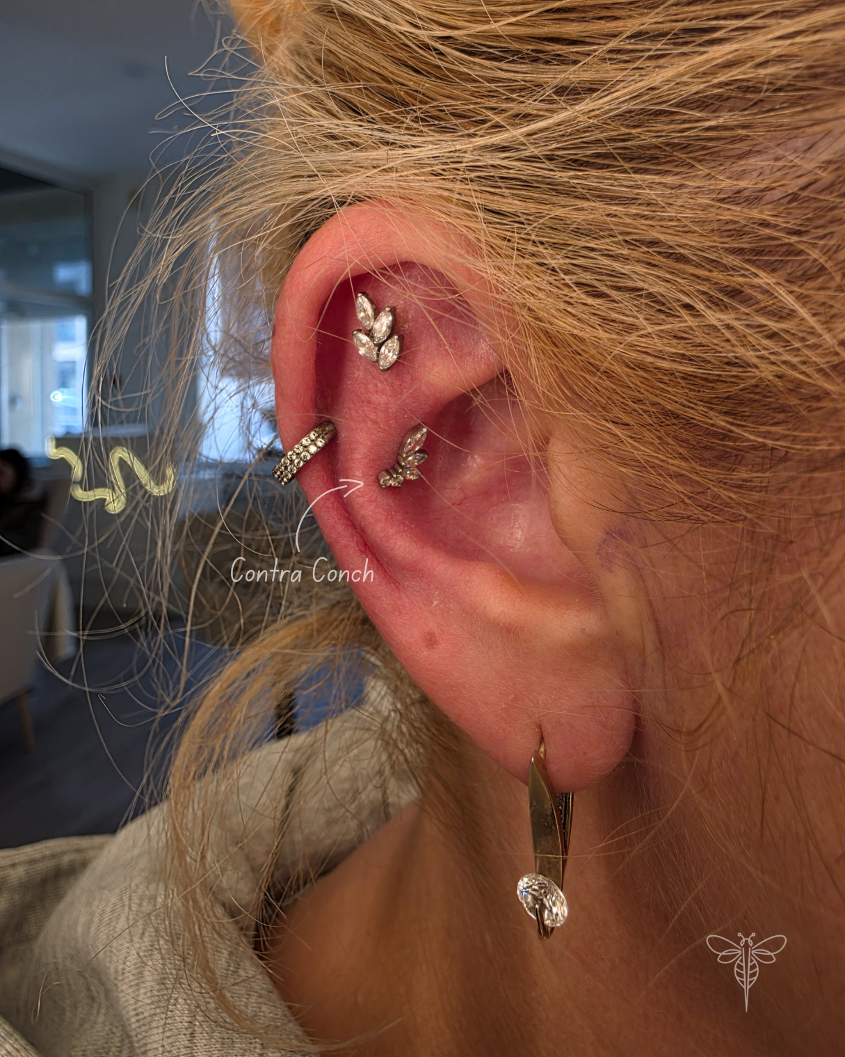 Contra conch