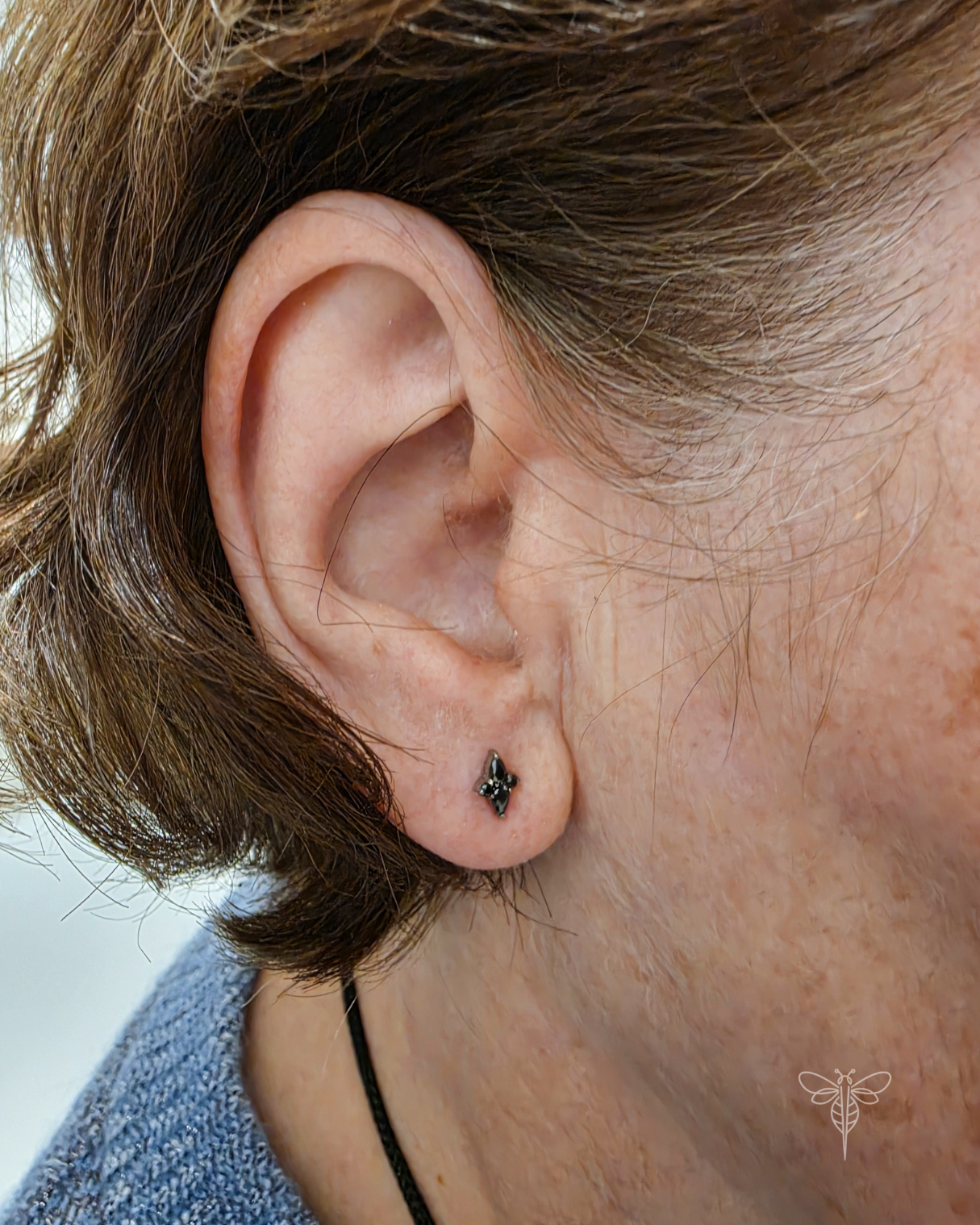 Lobe