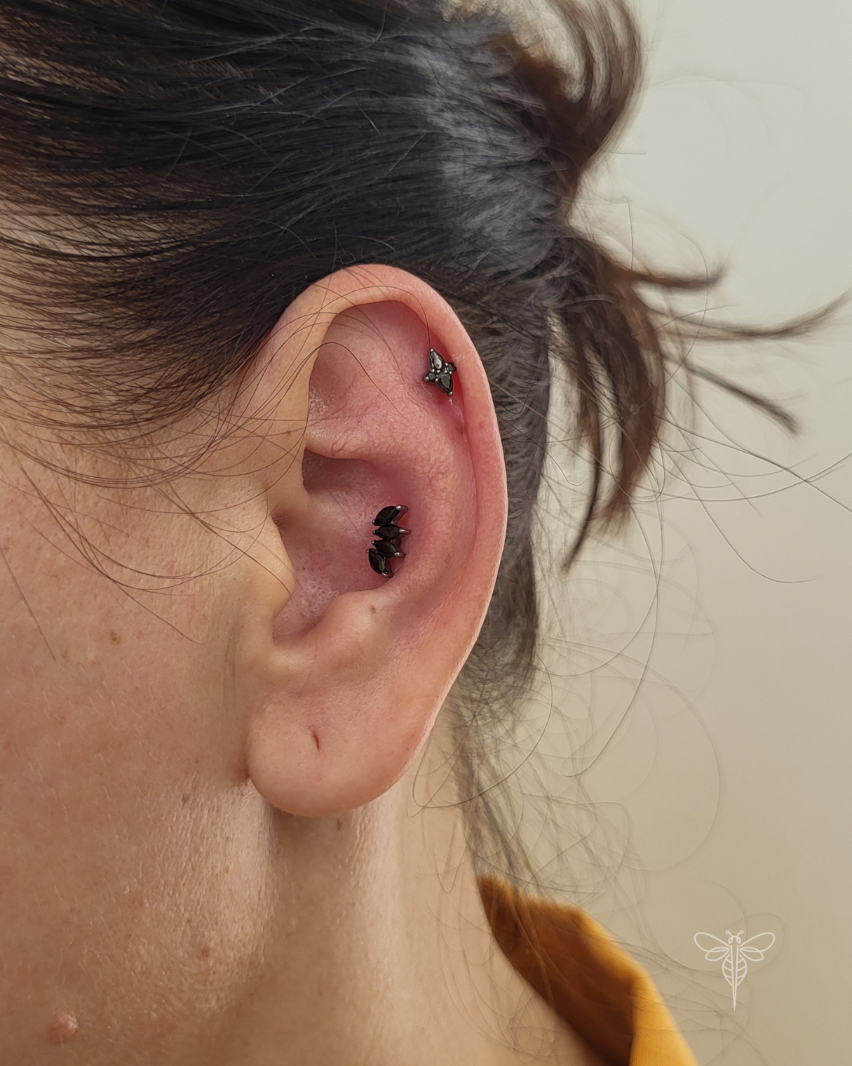 Conch
